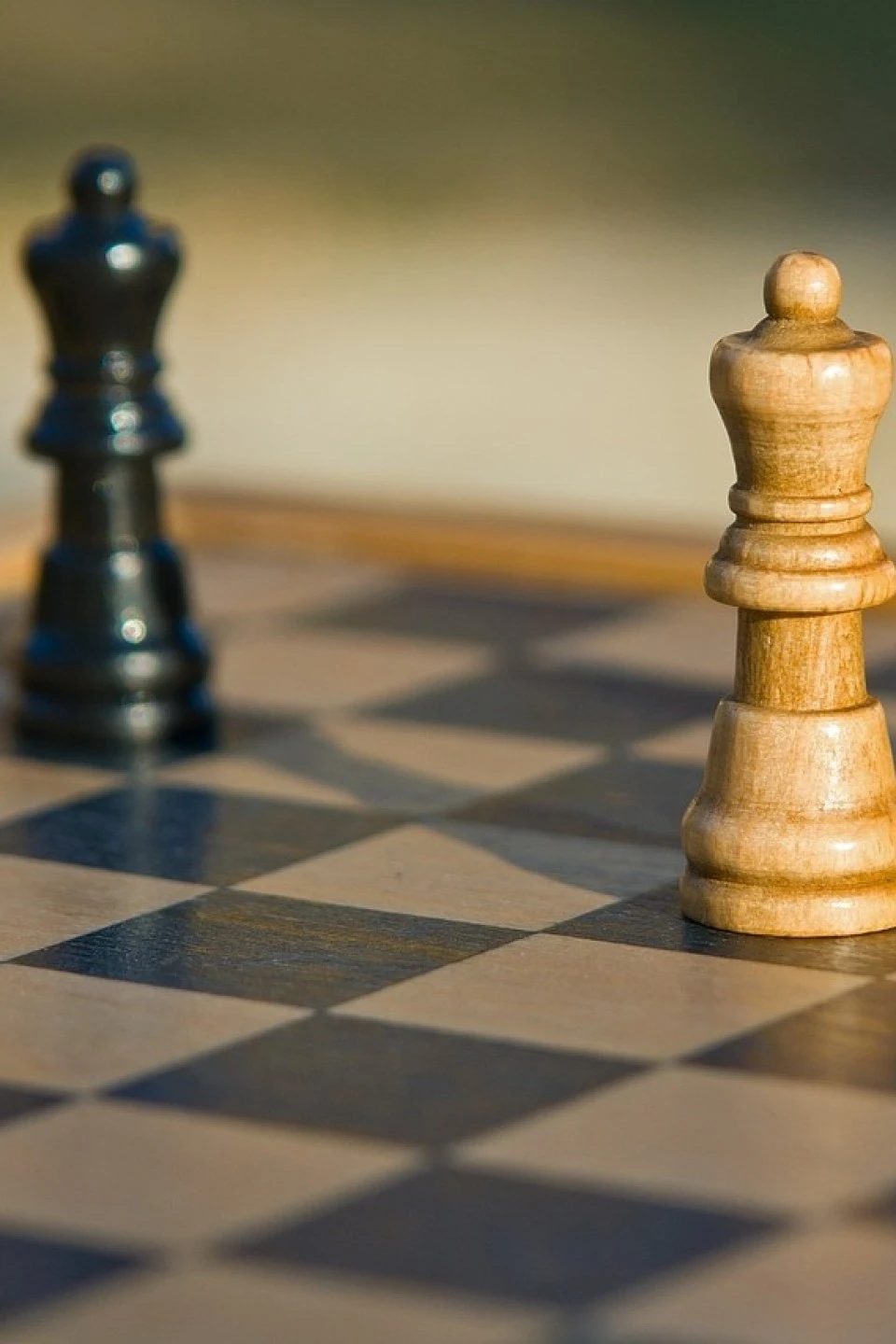 Mentorship and Leadership Development